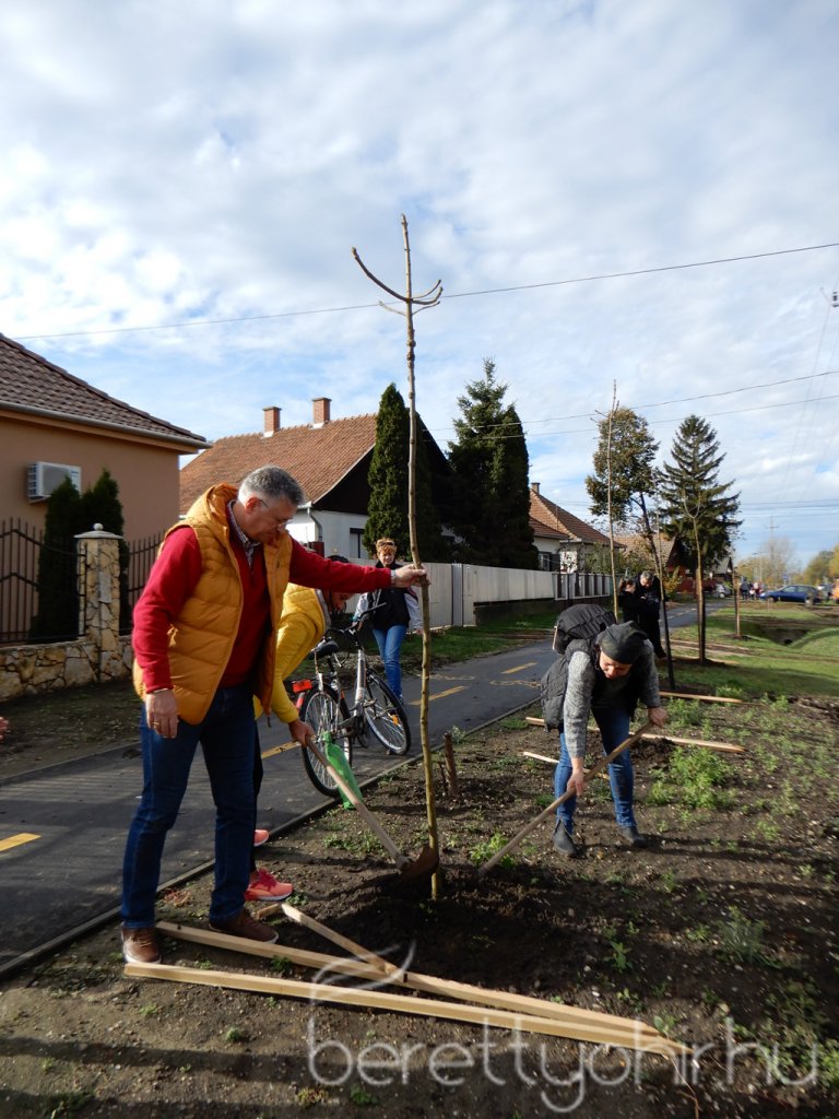 Közösségi faültetés Berettyóújfaluban 33